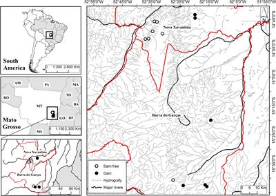 Dams Change Beta Diversity of Aquatic Communities in the Veredas of the Brazilian Cerrado